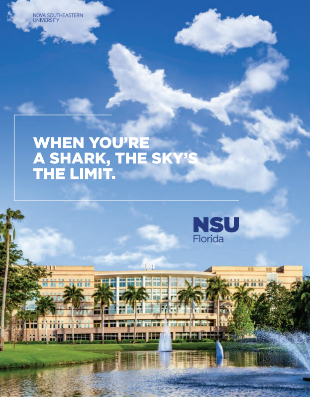 Overview of NSU